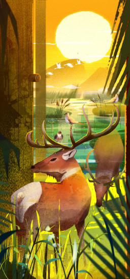 动物系列手绘插图